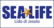 Sea Life Aquarium a Jesolo