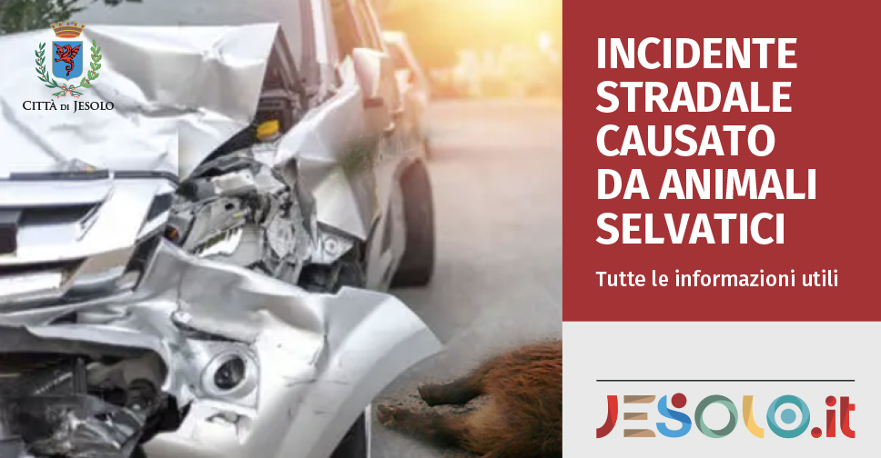 Immagine di auto incidentata e animale a terra