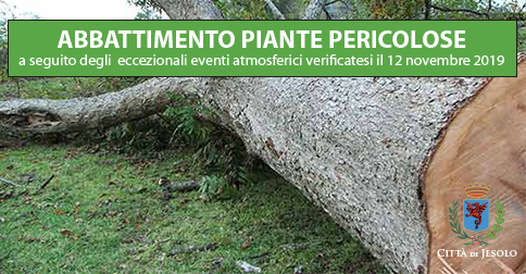 Abbattimento piante pericolose nel Comune di Jesolo a seguito degli eccezionali eventi atmosferici verificatesi il 12 novembre 2019