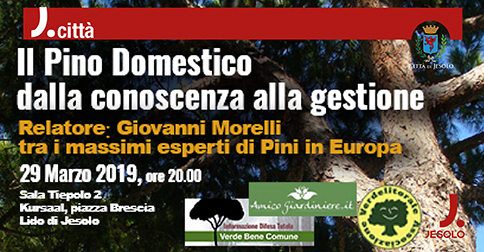 Il pino domestico, dalla conoscenza alla gestione 2019 a Jesolo