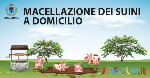 Macellazione suini a domicilio 2024