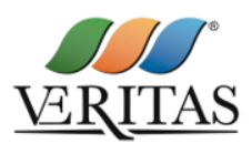 logo Veritas