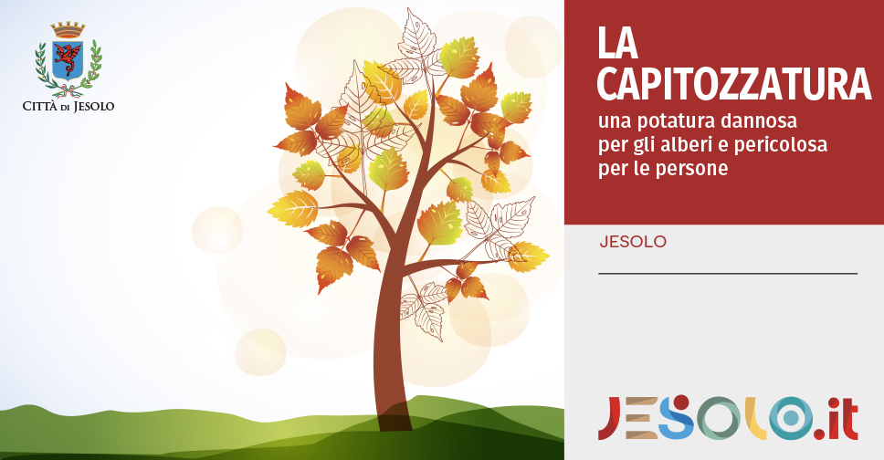 La Capitozzatura. Immagine stilizzata di un albero. 