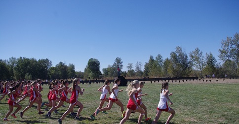 Campi sportivi studenteschi a Jesolo 2019