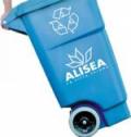 bidone Alisea