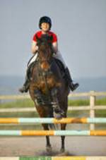 salto ad ostacoli - cavallo