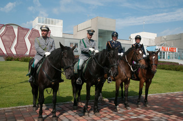 Polizia a cavallo